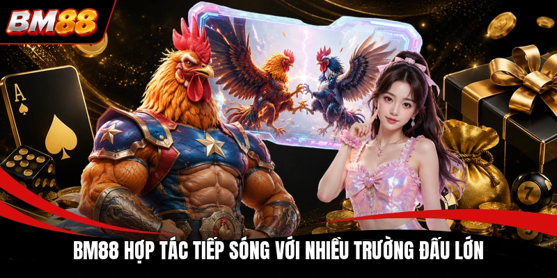 BM88 hợp tác tiếp sóng với nhiều trường đấu lớn