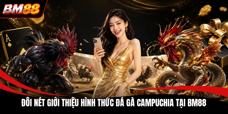 Đôi nét giới thiệu hình thức đá gà Campuchia tại BM88