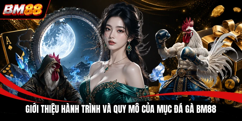 Giới thiệu hành trình và quy mô của mục đá gà BM88