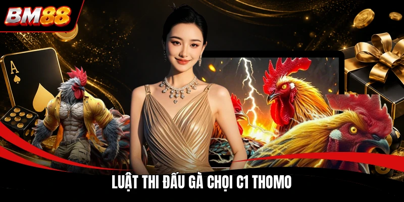 Luật thi đấu gà chọi C1 Thomo
