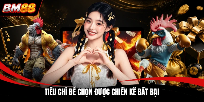 Tiêu chí để chọn được chiến kê bất bại
